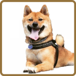 Nikko Nikko