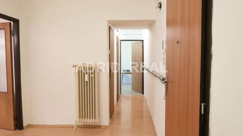 ADRID REAL SHOWS IN THE LEADING ROLE: THREE-ROOM FLAT WITH TWO TERRACE