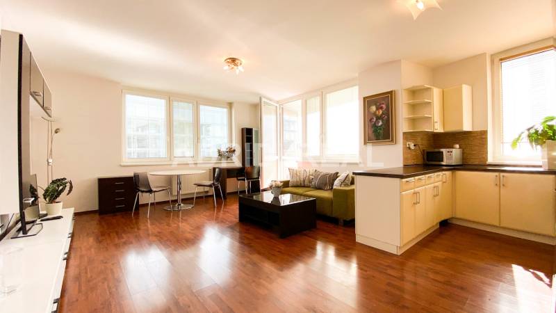 ADRID REAL FOR RENT - SPACIOUS BRIGHT FLAT NEXT TO THE LAKE 