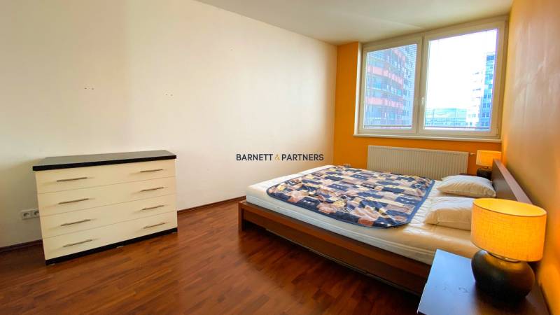 ADRID REAL FOR RENT - SPACIOUS BRIGHT FLAT NEXT TO THE LAKE 
