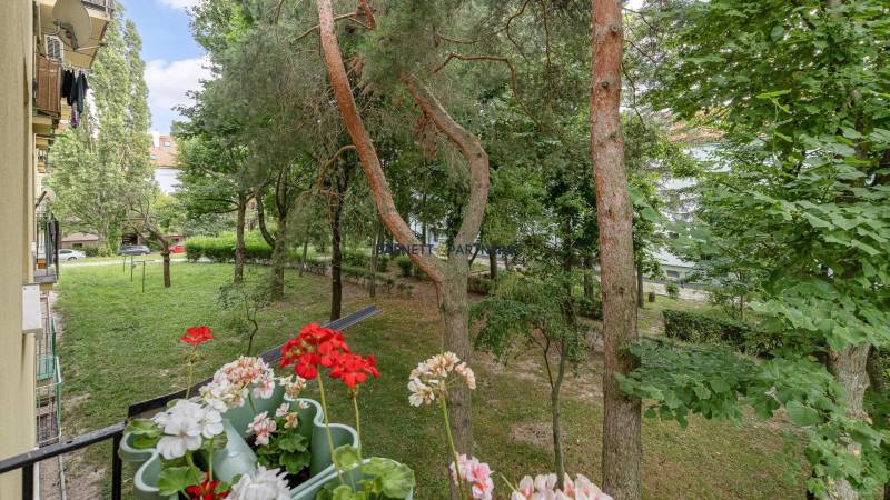 TOP OFFER OF A CHARISMATIC TWO-ROOM APARTMENT 