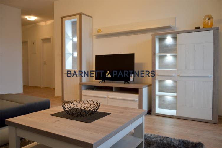 CITY HOUSE RUZINOV | FOR RENT