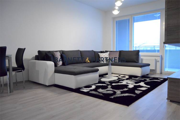 CITY HOUSE RUZINOV | FOR RENT